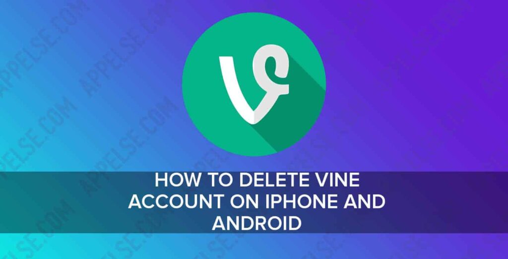How to delete vine account on iPhone and Android